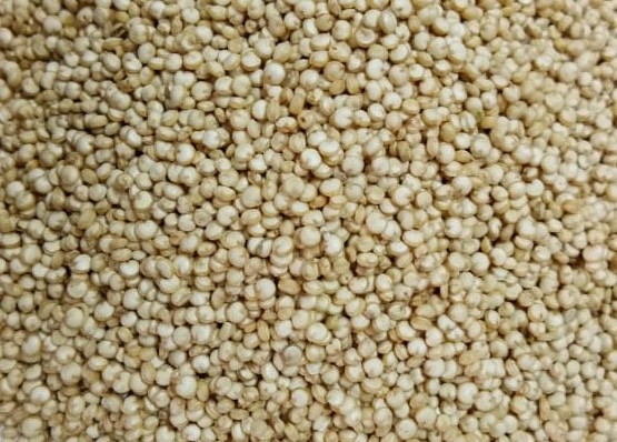 Quinoa  Seeds